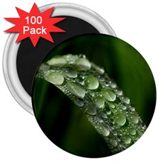 Grass Drops 3  Button Magnet (100 Pack) by Siebenhuehner