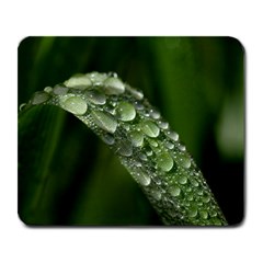 Grass Drops Large Mouse Pad (rectangle) by Siebenhuehner