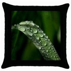 Grass Drops Black Throw Pillow Case by Siebenhuehner