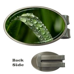 Grass Drops Money Clip (oval) by Siebenhuehner