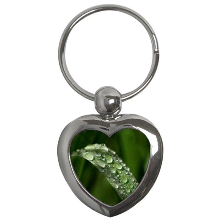 Grass Drops Key Chain (Heart)