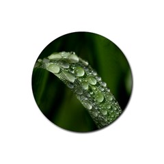 Grass Drops Drink Coasters 4 Pack (round) by Siebenhuehner