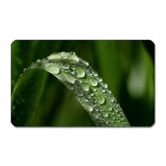 Grass Drops Magnet (rectangular) by Siebenhuehner