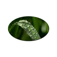 Grass Drops Sticker 10 Pack (oval) by Siebenhuehner