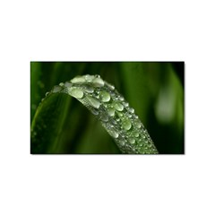 Grass Drops Sticker 100 Pack (rectangle) by Siebenhuehner