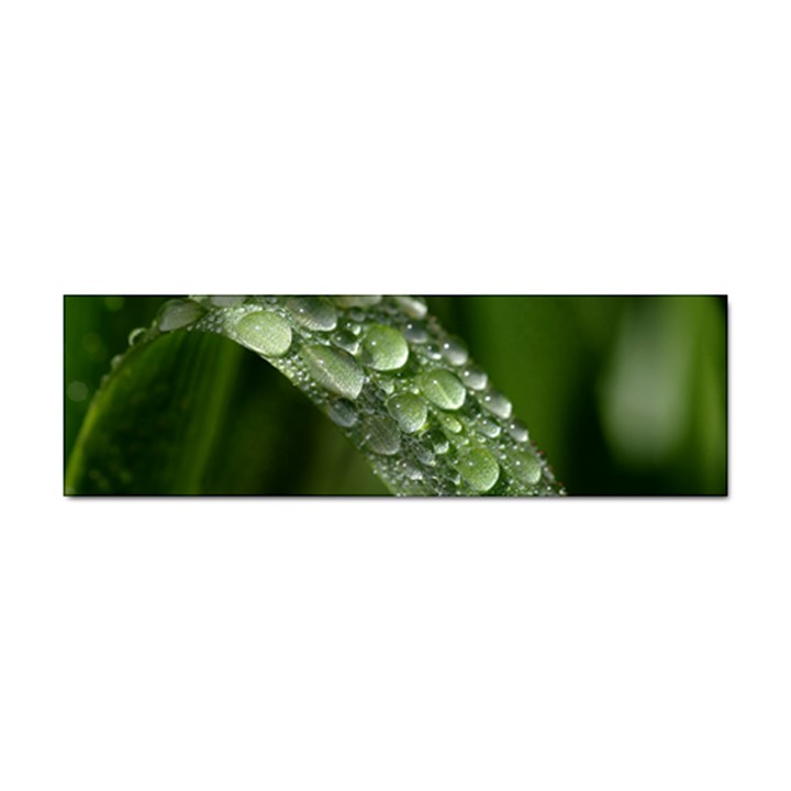 Grass Drops Bumper Sticker 10 Pack