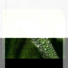 Grass Drops Jigsaw Puzzle (rectangle) by Siebenhuehner