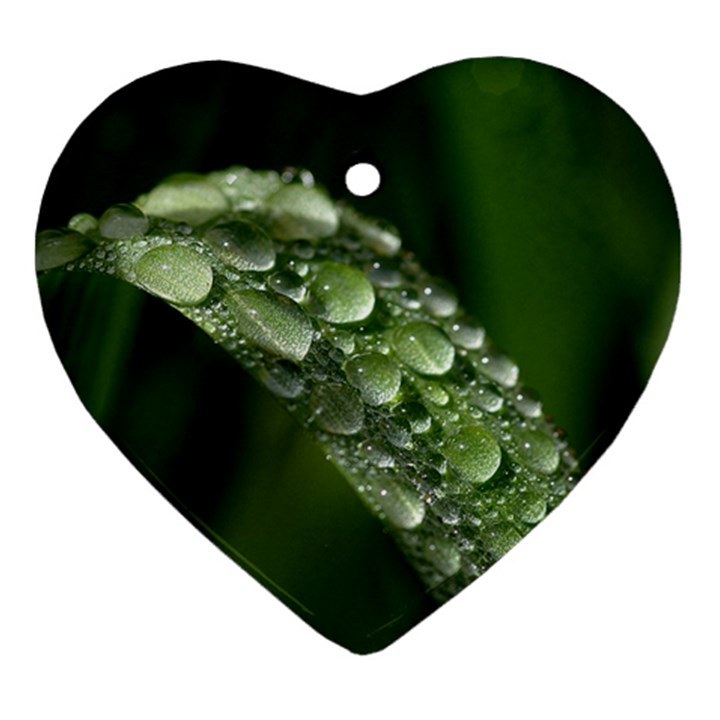 Grass Drops Heart Ornament (Two Sides)