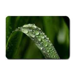 Grass Drops Small Door Mat