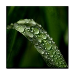 Grass Drops Face Towel