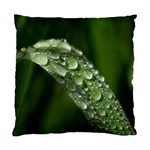 Grass Drops Cushion Case (Single Sided)  Front