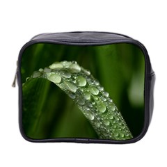 Grass Drops Mini Travel Toiletry Bag (two Sides)