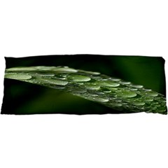 Grass Drops Samsung Galaxy Sl I9003 Hardshell Case