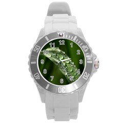 Grass Drops Plastic Sport Watch (large)