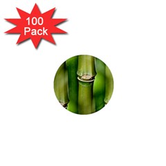 Bamboo 1  Mini Button Magnet (100 Pack)