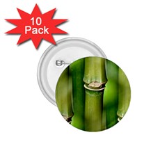 Bamboo 1 75  Button (10 Pack)