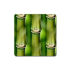 Bamboo Magnet (square) by Siebenhuehner