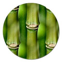 Bamboo Magnet 5  (round)