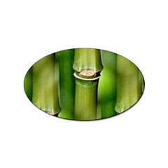 Bamboo Sticker 100 Pack (oval) by Siebenhuehner