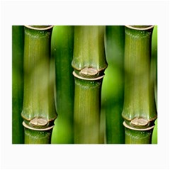 Bamboo Glasses Cloth (small, Two Sided) by Siebenhuehner