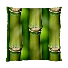 Bamboo Cushion Case (two Sided)  by Siebenhuehner