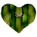 Bamboo 19  Premium Heart Shape Cushion Front