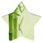 Bamboo Star Ornament Front