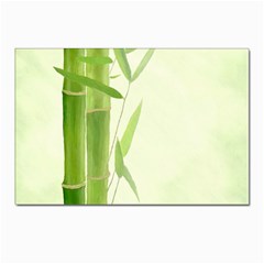 Bamboo Postcards 5  X 7  (10 Pack)