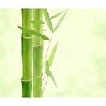 Bamboo Deluxe Canvas 14  x 11  (Framed) 14  x 11  x 1.5  Stretched Canvas