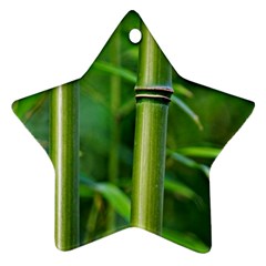 Bamboo Star Ornament