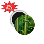 Bamboo 1.75  Button Magnet (100 pack) Front