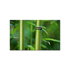 Bamboo Sticker (rectangle)