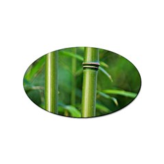 Bamboo Sticker 10 Pack (oval)