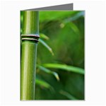 Bamboo Greeting Card Left