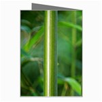 Bamboo Greeting Card Right