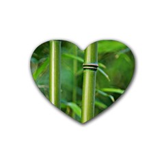 Bamboo Drink Coasters (heart)