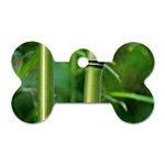 Bamboo Dog Tag Bone (One Sided) Front