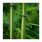 Bamboo Glasses Cloth (Medium, Two Sided) Front