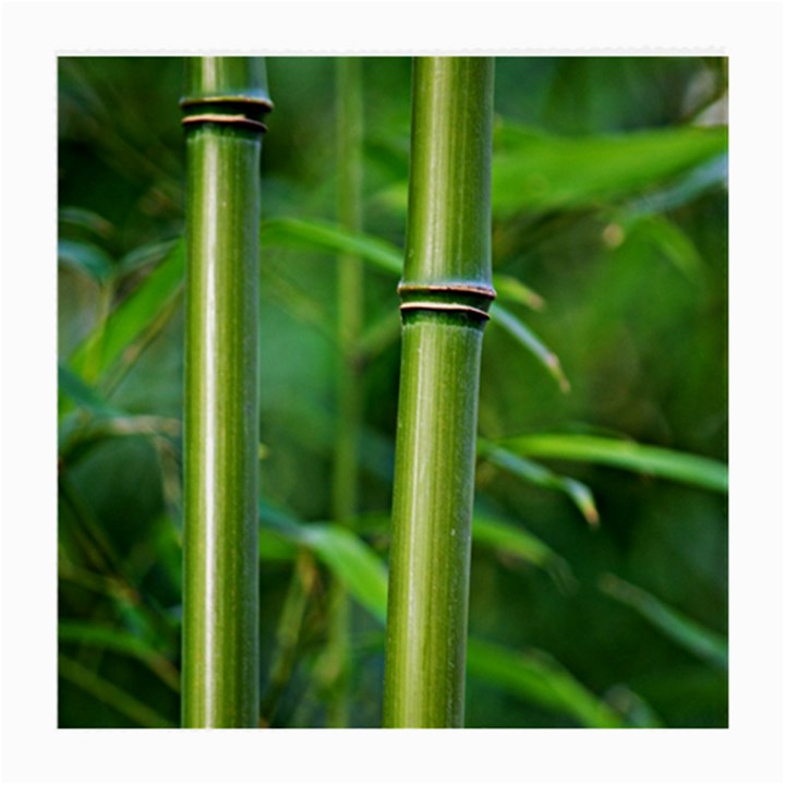 Bamboo Glasses Cloth (Medium, Two Sided)