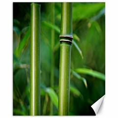 Bamboo Canvas 11  X 14  (unframed)