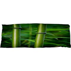 Bamboo Samsung Galaxy Nexus S I9020 Hardshell Case