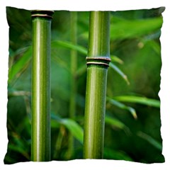 Bamboo Large Cushion Case (single Sided) 