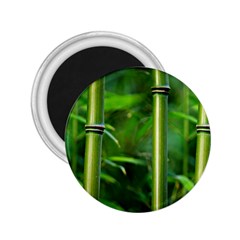 Bamboo 2 25  Button Magnet