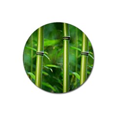 Bamboo Magnet 3  (round)