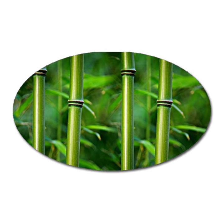 Bamboo Magnet (Oval)