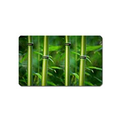 Bamboo Magnet (name Card)