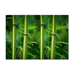 Bamboo A4 Sticker 10 Pack by Siebenhuehner