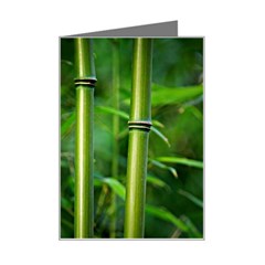 Bamboo Mini Greeting Card by Siebenhuehner