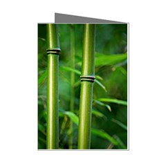 Bamboo Mini Greeting Card (8 Pack) by Siebenhuehner