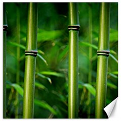 Bamboo Canvas 12  X 12  (unframed) by Siebenhuehner